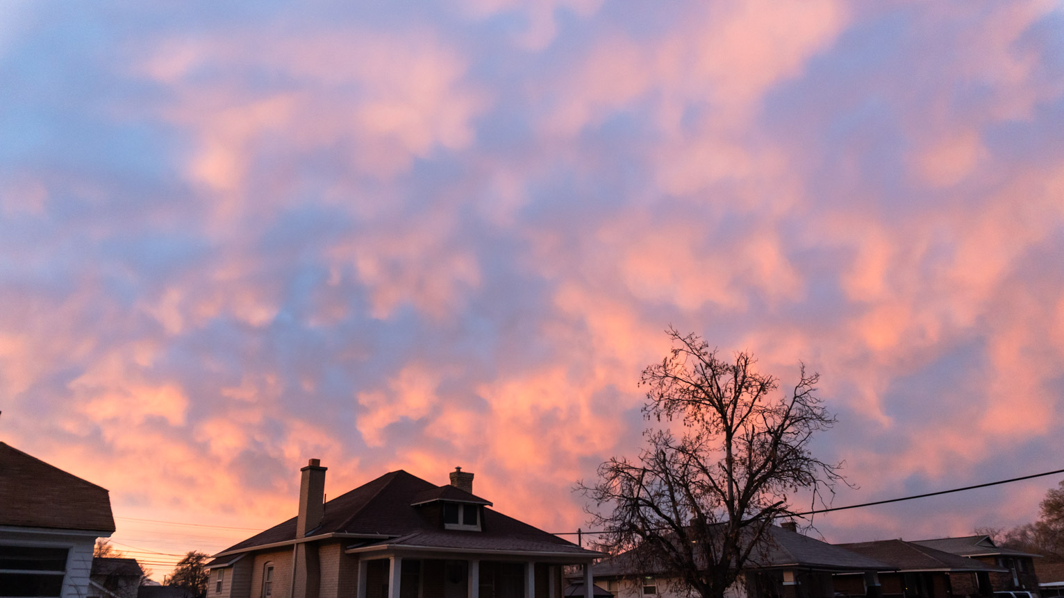 The clouds are pink and bulbous looking over some houses